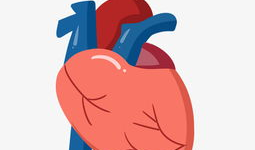 心脏漫画图片,揭秘心脏的奇妙世界